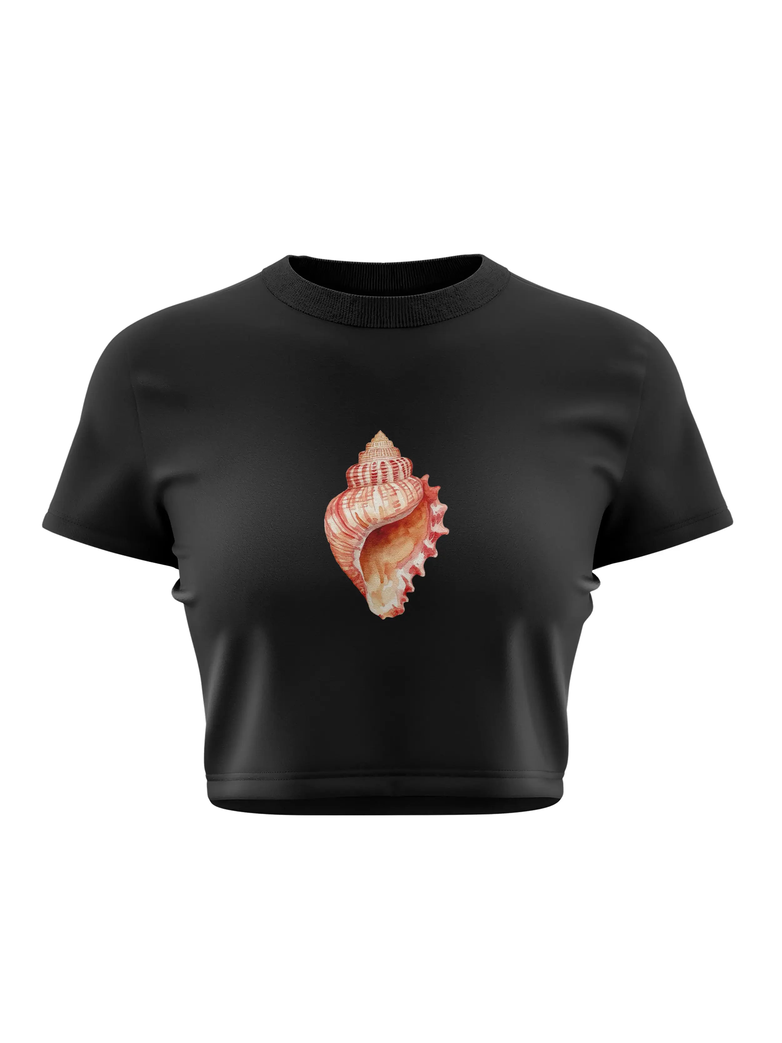 Shell