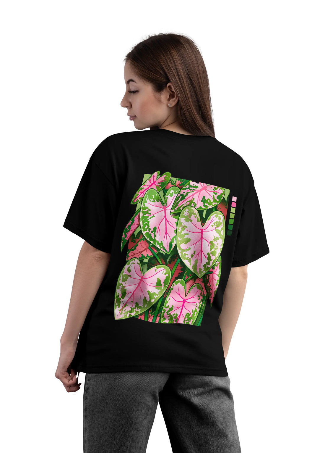 Pink & Green Caladium
